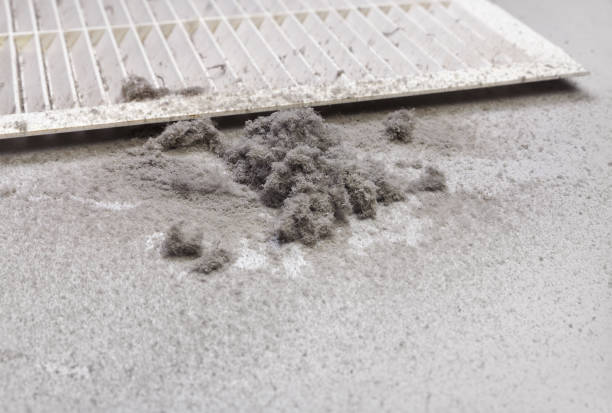 Best HVAC Duct Inspection Services  in New Market, TN