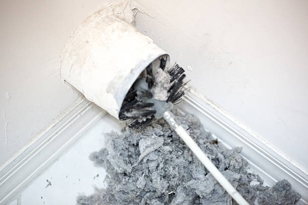 Best Air Duct Cleaning Near Me  in New Market, TN